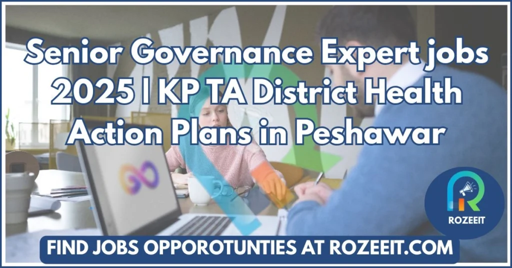 Senior Governance Expert jobs 2025